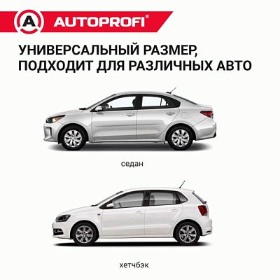 Чехол защитный всесезонный для стекол Autoprofi 318х249 см размер XL CAP300